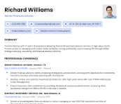 Example Resume #2 (Professional)